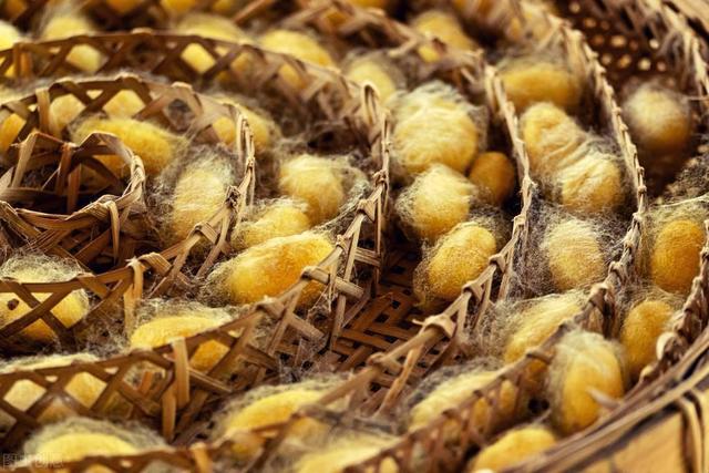 燃气蒸汽发生器助力蚕丝被生产